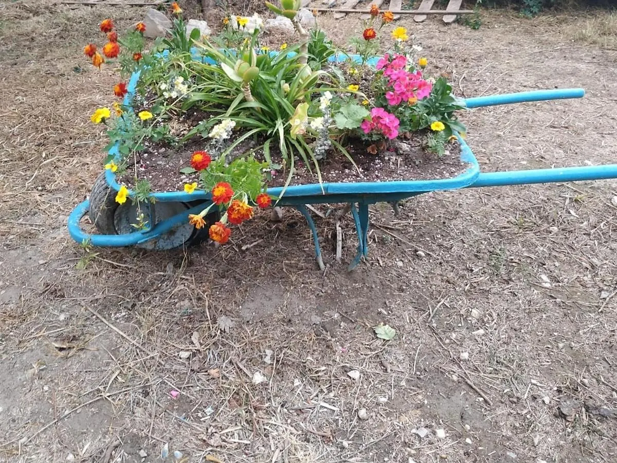 Villa El Río Dúrcal Сasa de vacaciones